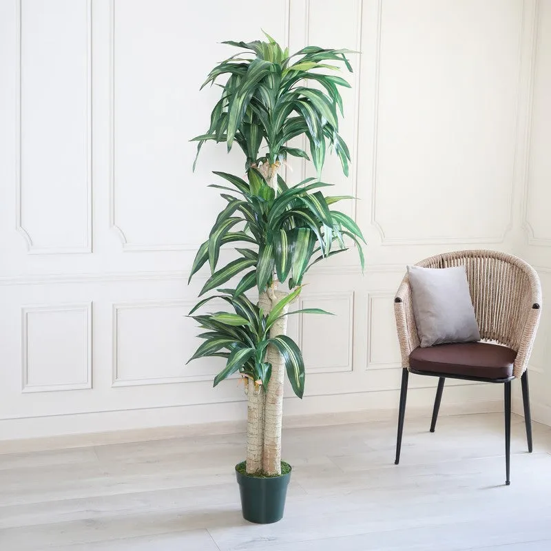 GreenWhisper Artificial Plant With Black Plastic Pot - 5.7 ft media 3