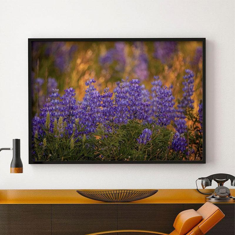Canvas · Polystyrene