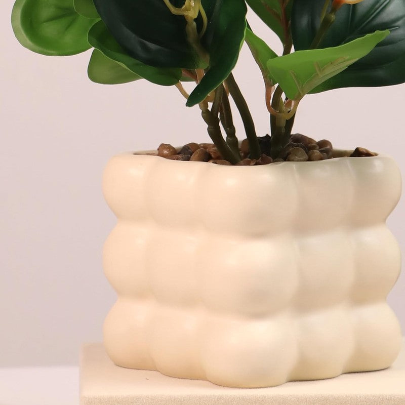 Ivory Bubble Vase with plant media 4
