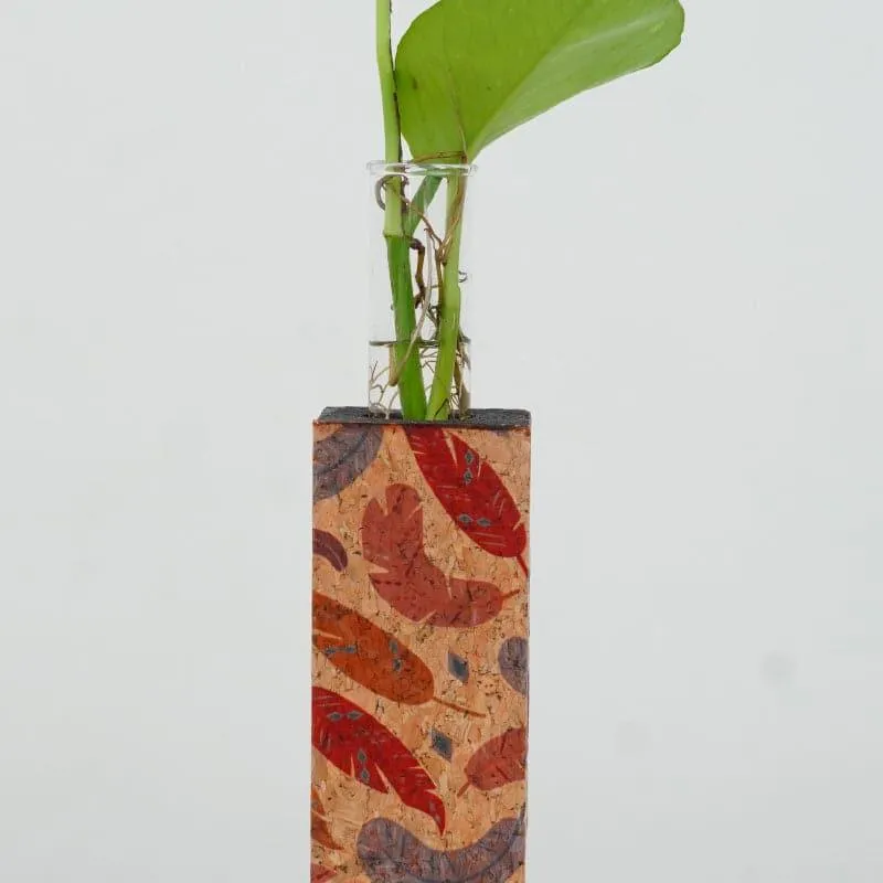 Feathery Cork Testube Planter media 3
