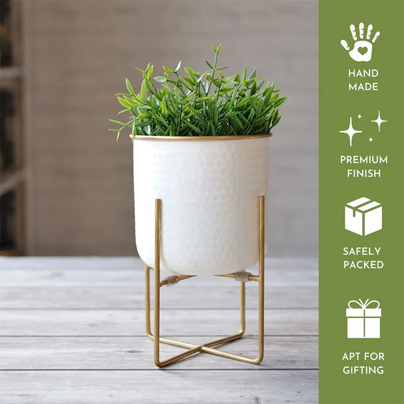 Rhaella Iron Planter - Small media 5