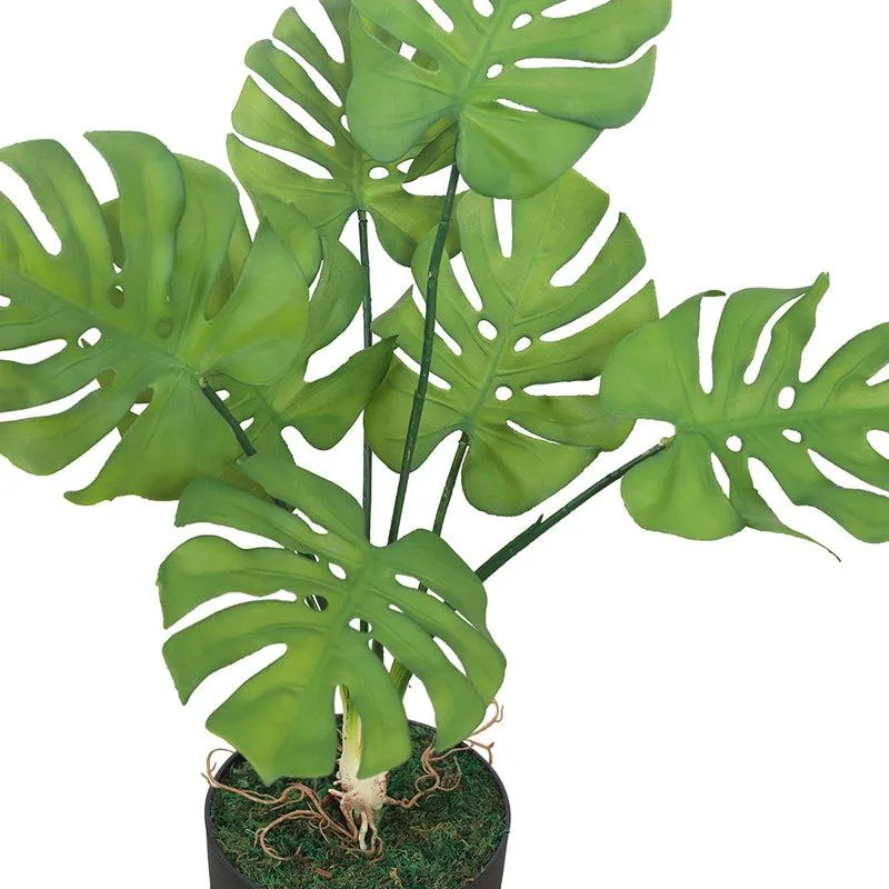 Botanic Whisper Artificial Plant With Black Plastic Pot media 6