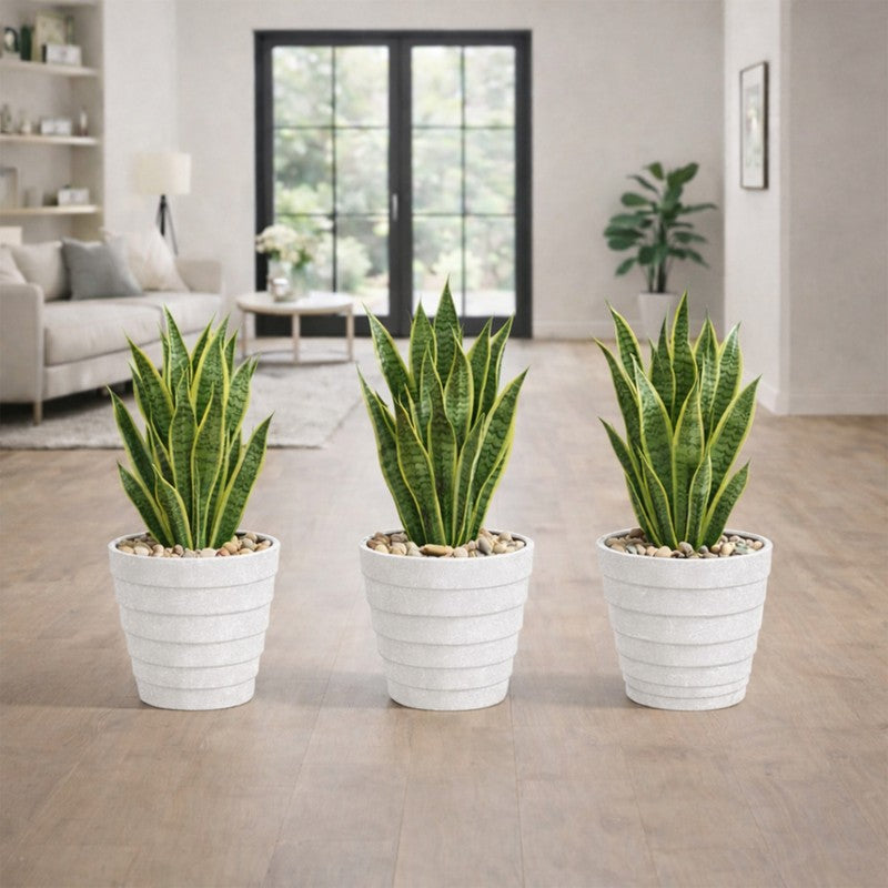 Juniper Planters (White) - Set Of Three media 5