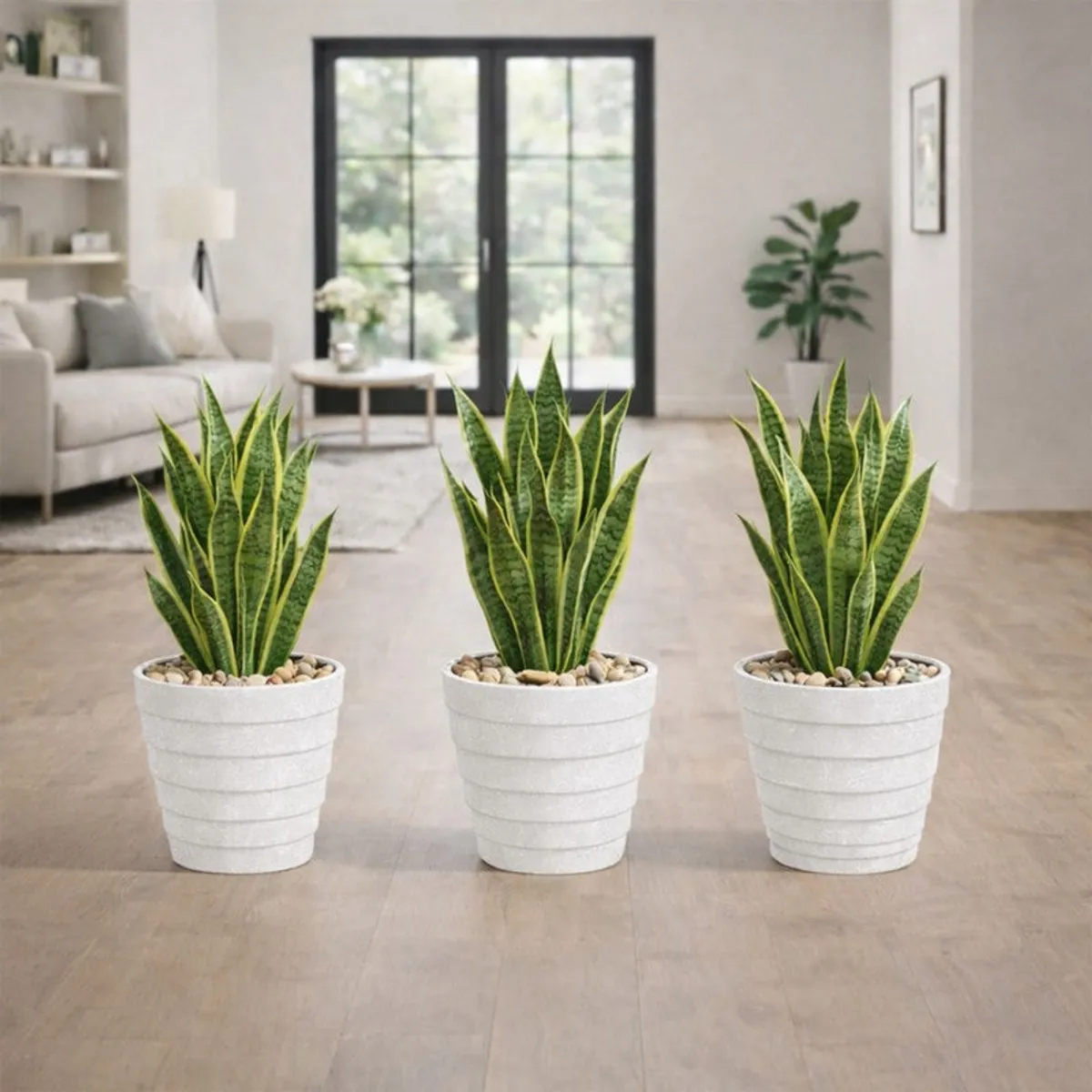 Three white planters shown with tall green plants in a modern room