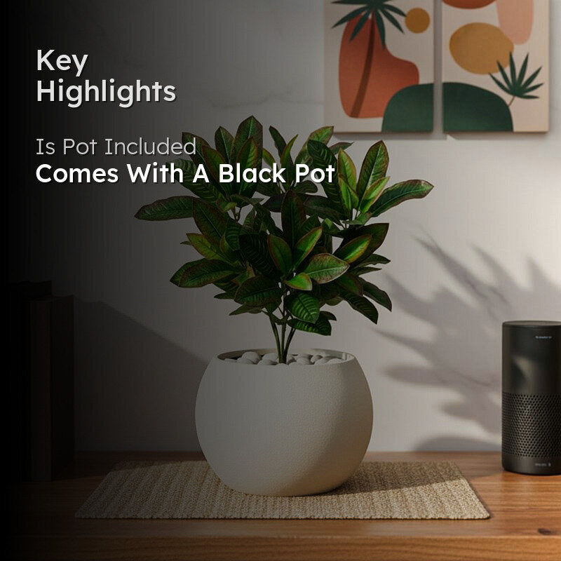 Faux Everlasting Croton Plant With Black Plastic Pot - 51 cm media 2
