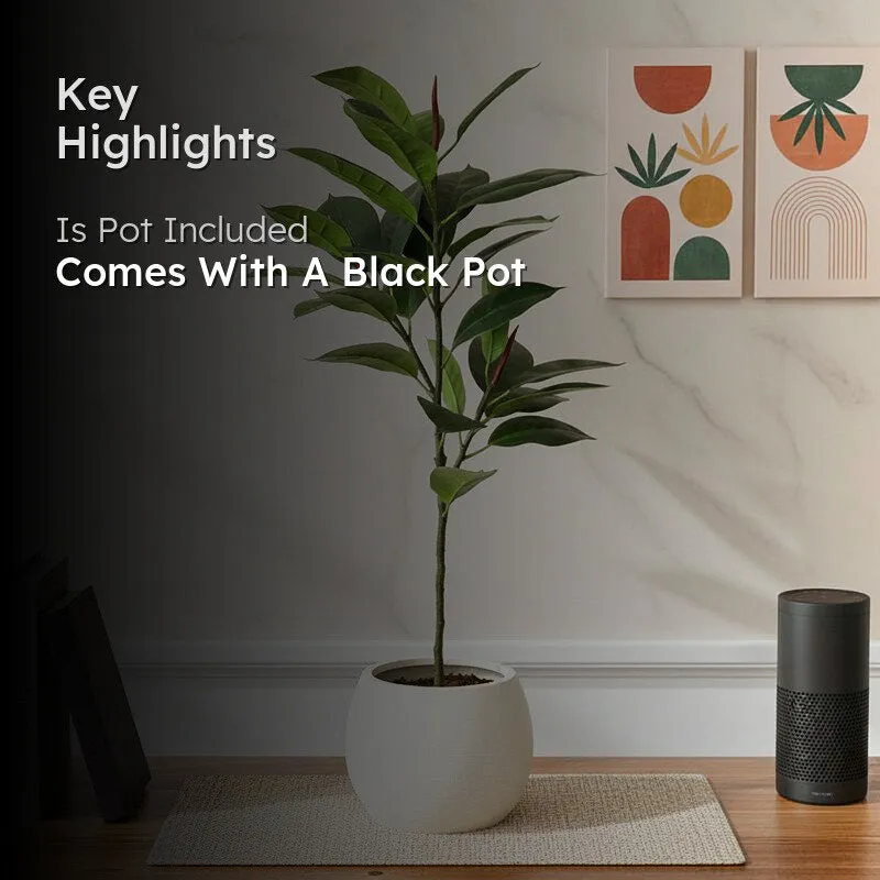 CasaBloom Artificial Rubber Plant With Black Plastic Pot - 2.5 Feet media 2