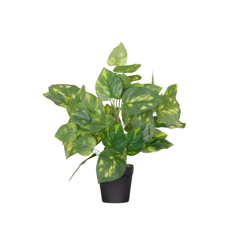 Artificial Pothos Plant With Black Fiber Pot (Green, Yellow) - 1 Feet media 4