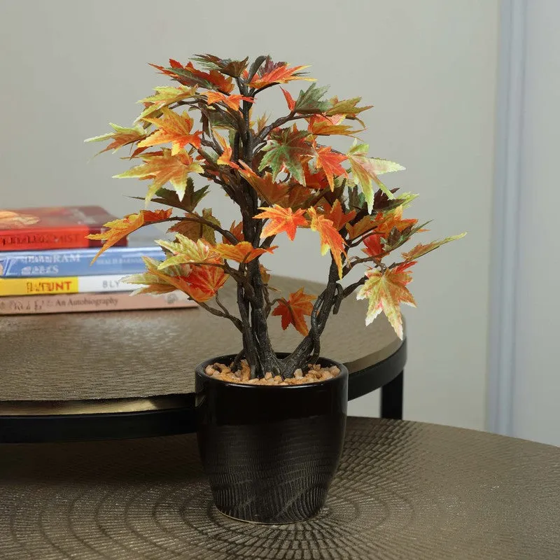 Artificial Multicolor Maple Bonsai Plant With Ceramic Pot - 0.8 Feet media 1
