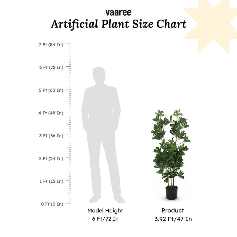 Faux Schefflera Plant With Black Plastic Pot (3.94 ft) - White media 6