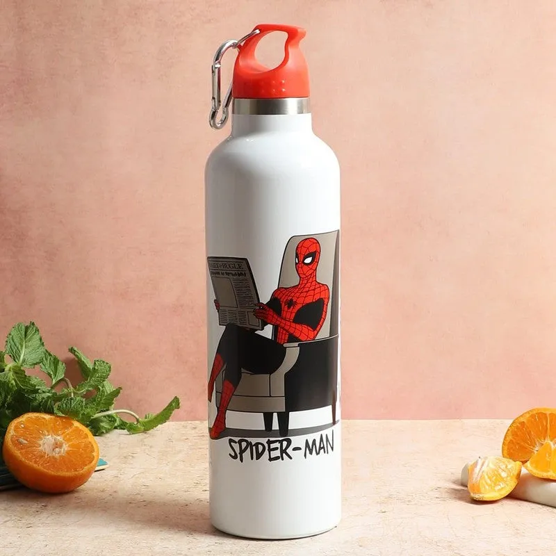 Spidey Relax Insulated Water Bottle - 1000 mL media 1