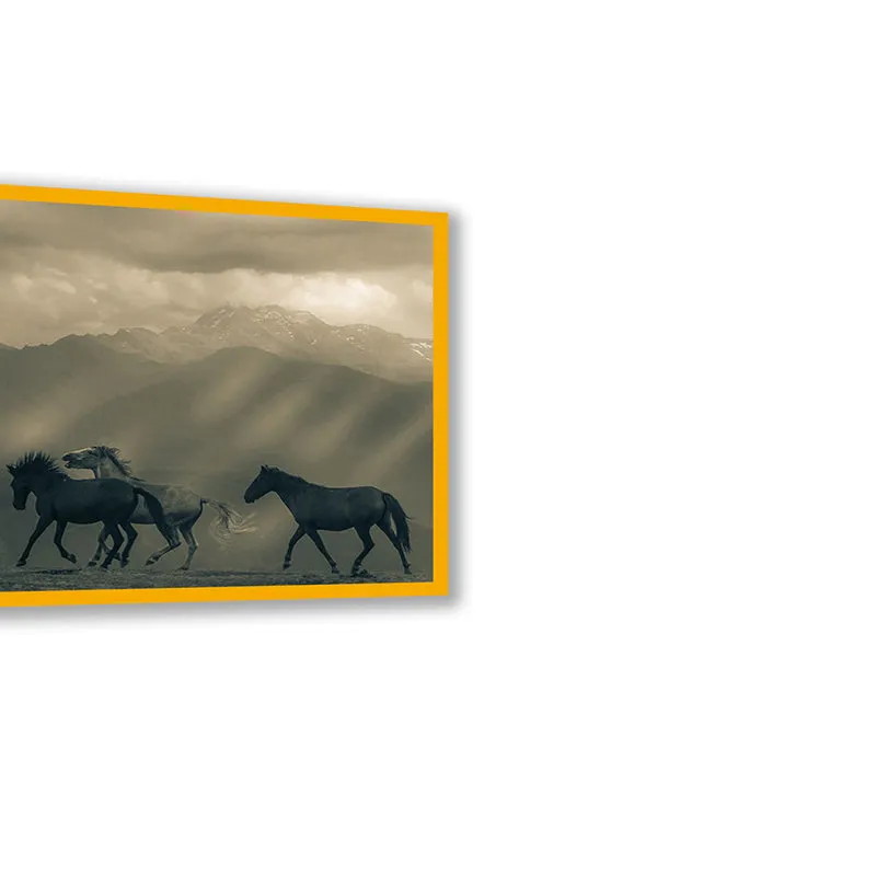Equine Silhouette Wall Art with Gold Frame media 5
