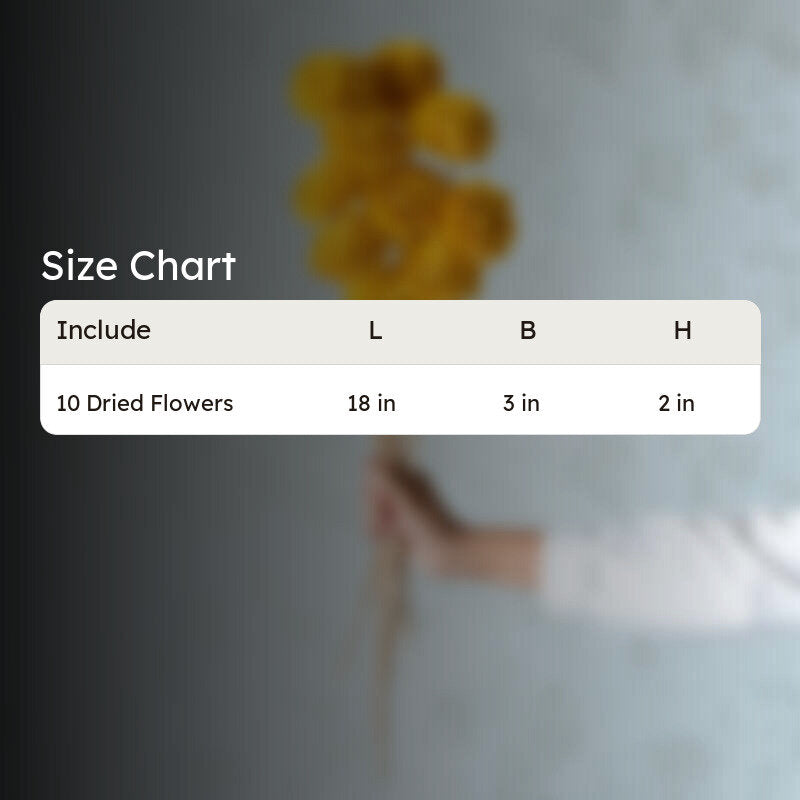 Musa Sola Wood Rose Flower Stick (Yellow) - Set Of Ten media 5