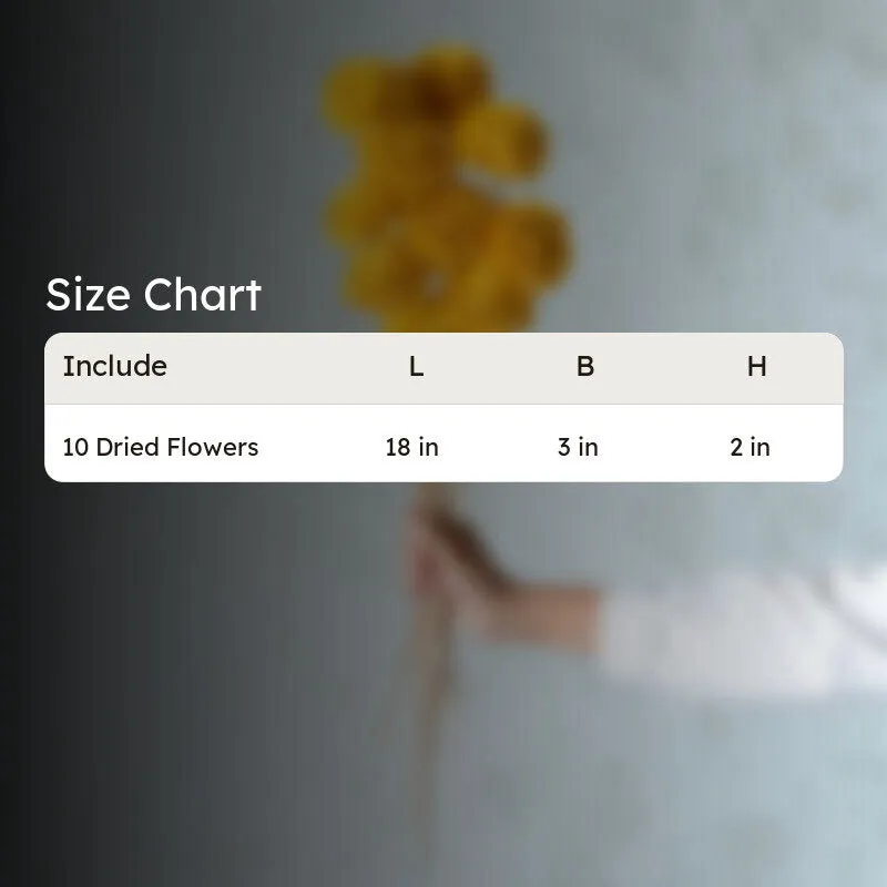 Musa Sola Wood Rose Flower Stick (Yellow) - Set Of Ten media 5