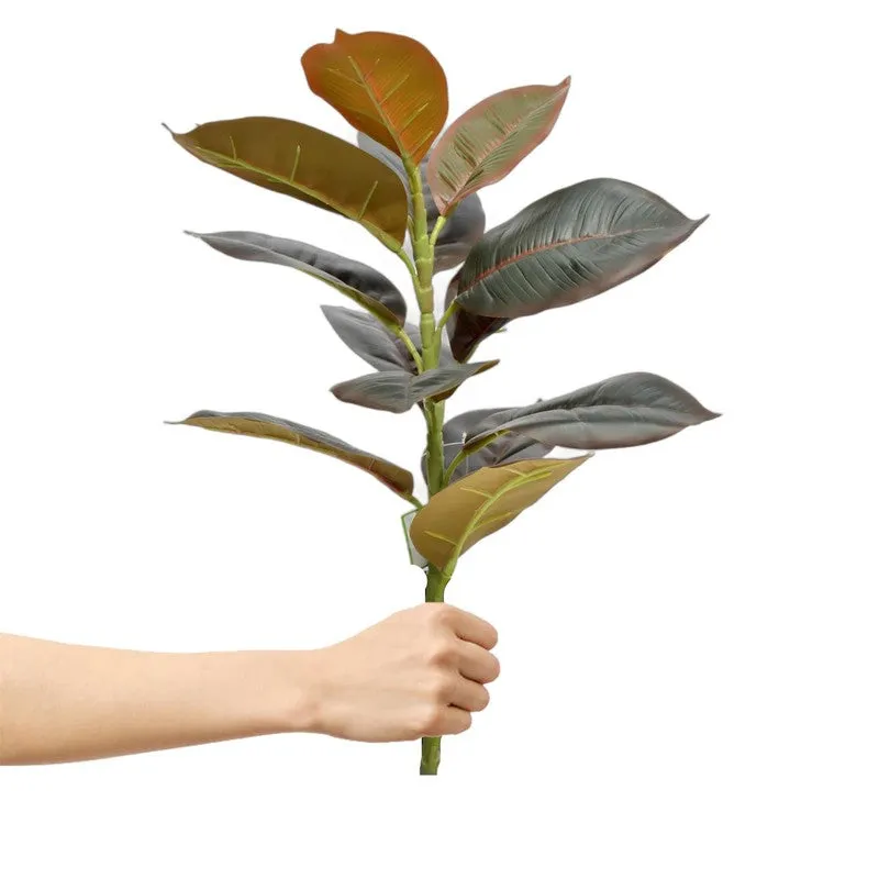 OvaFlora Artificial Rubber Plant With Black Plastic Pot - 1.6 Feet media 5