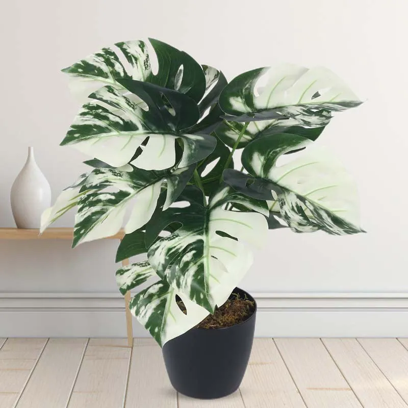 Faux Lush White Monstera Plant With Black Plastic Pot - 1.8 Feet media 3