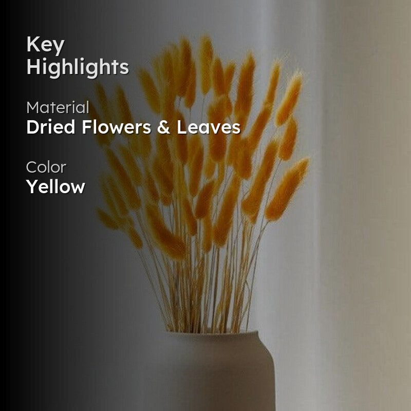 Naturally Dried Bunny Tail Stems (Yellow) - Set Of Fifty media 2