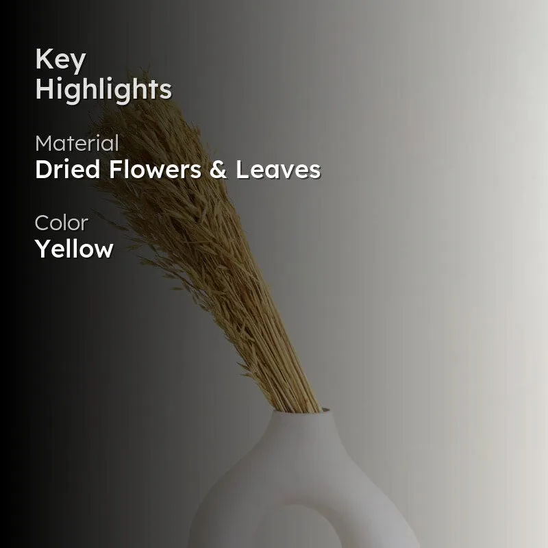 Hazo Millet Grass Dried Havana Grass Bunch - Yellow media 2