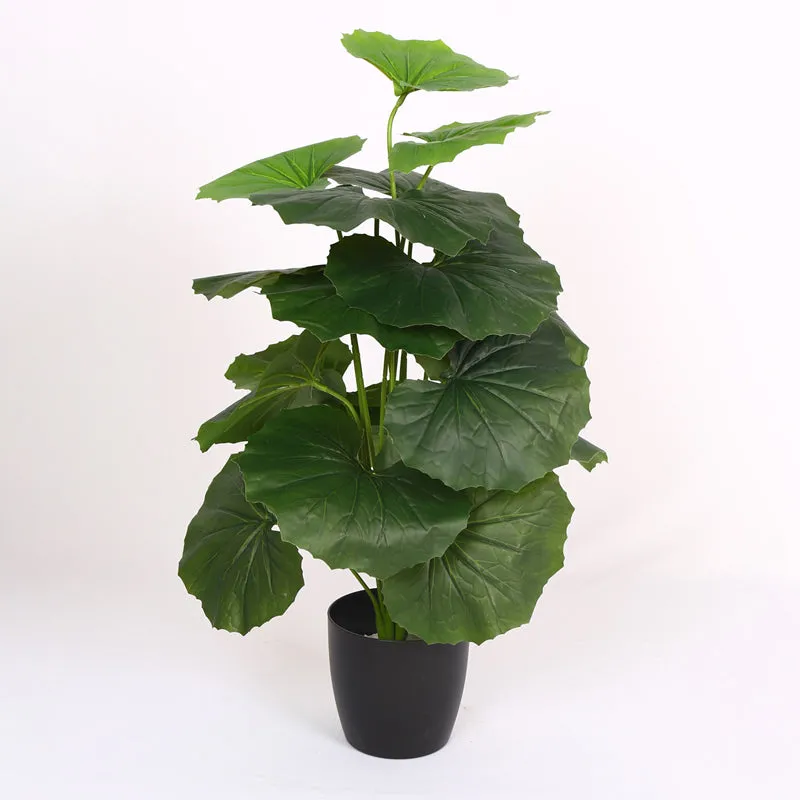 Verdiva III Artificial Plant With Black Plastic Pot - 2 Feet media 6