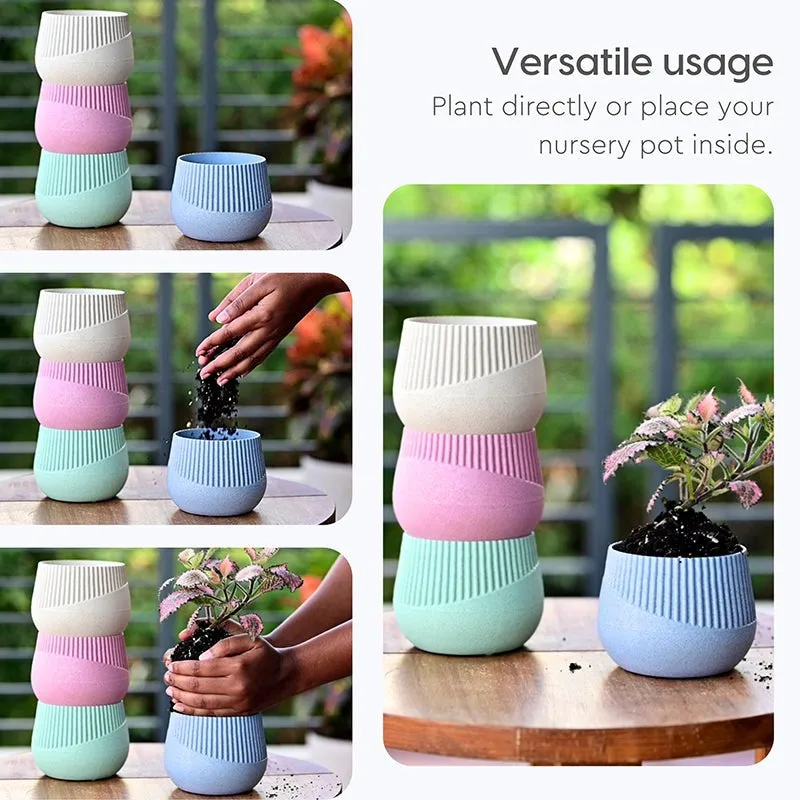 Vita Venue Pot- Set Of Four media 5