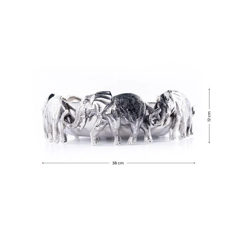 Jumbo Walk Aluminum Platter media 5