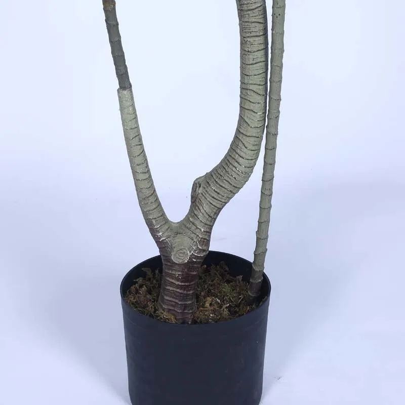Faux Lush Areca Plam Plant With Black Plastic Pot - 5.6 Feet media 5