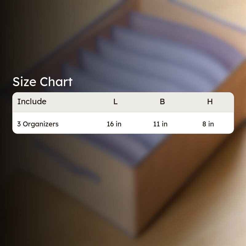 Riggs Foldable Organizer media 6