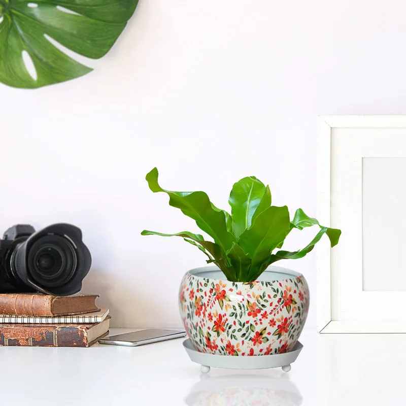 Julietta Peach Floral Planter With Plate media 5