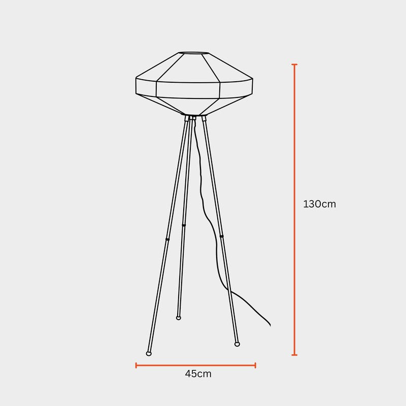 Fig Living Space Rover Floor Lamp media 9