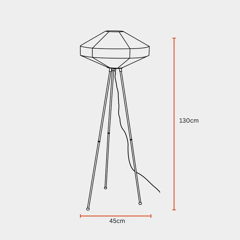 Fig Living Space Rover Floor Lamp media 9