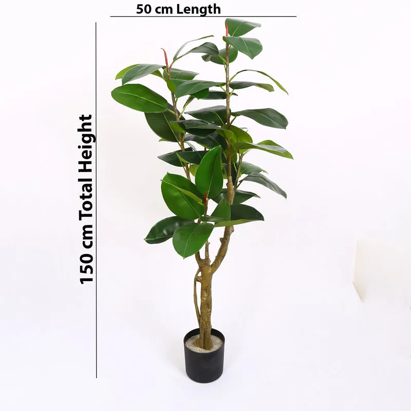 Verdiq Artificial Rubber Plant With Black Plastic Pot - 5 Feet media 7
