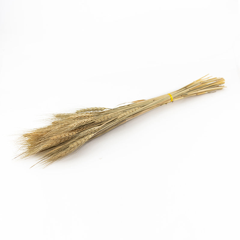 Yinira Naturally Dried Wheat Grass media 4