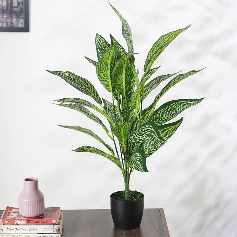 Faux Light Green Croton Plant With Black Plastic Pot - 2.2 Feet media 3