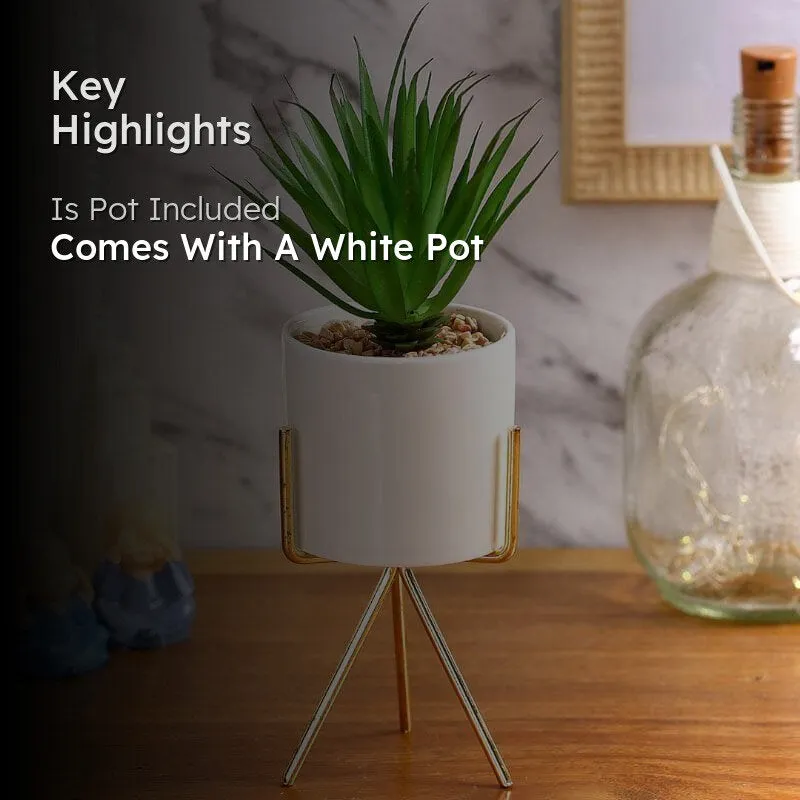 Faux Succulent Leaf In White Pot With Tripod - 24 cms media 2