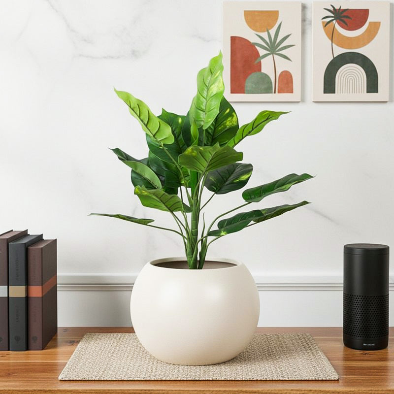Faux Touch Pothos Bonsai In Black Plastic Pot - 45 cms