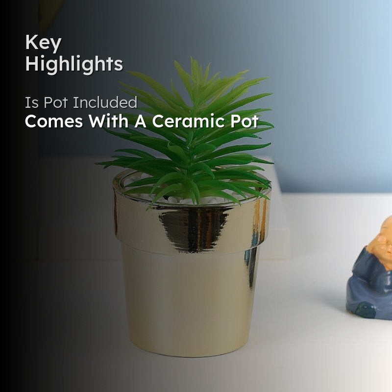 Faux Haworthia In Ceramic Pot - 14 cms media 2