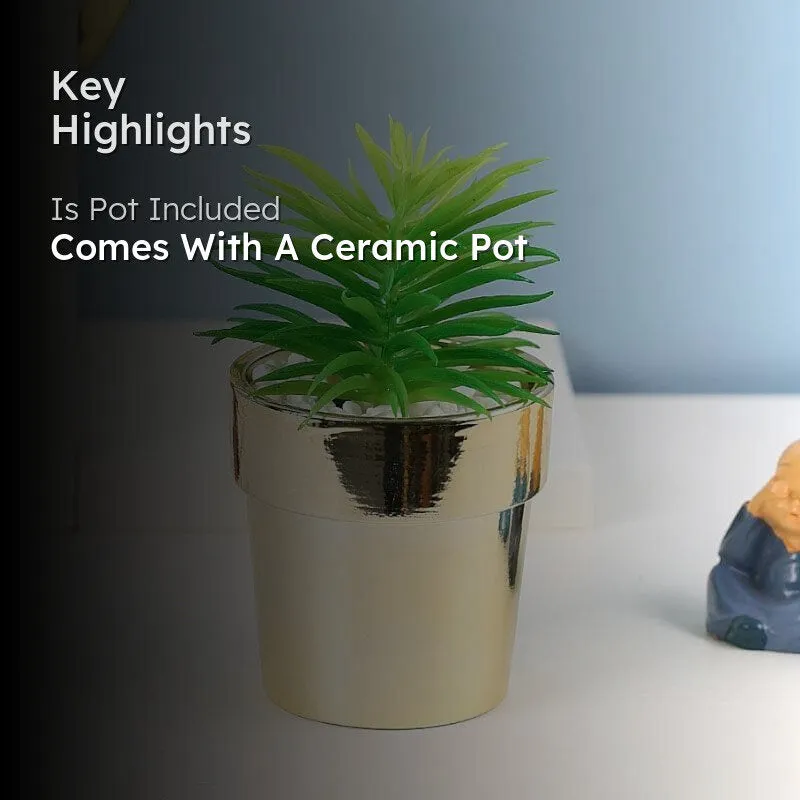 Faux Haworthia In Ceramic Pot - 14 cms media 2