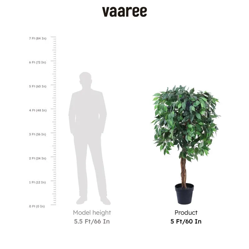 Artificial Realistic Ficus Plant With Black Plastic Pot - 4.9 Feet media 9