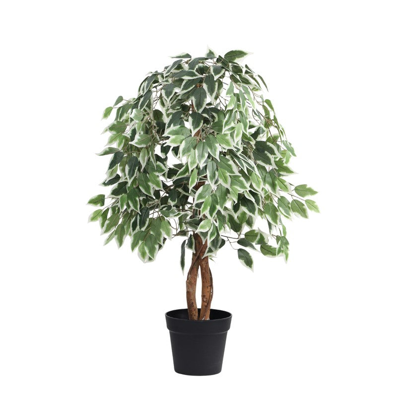 Artificial Variegated Ficus Plant With Black Plastic Pot - 4 ft media 3