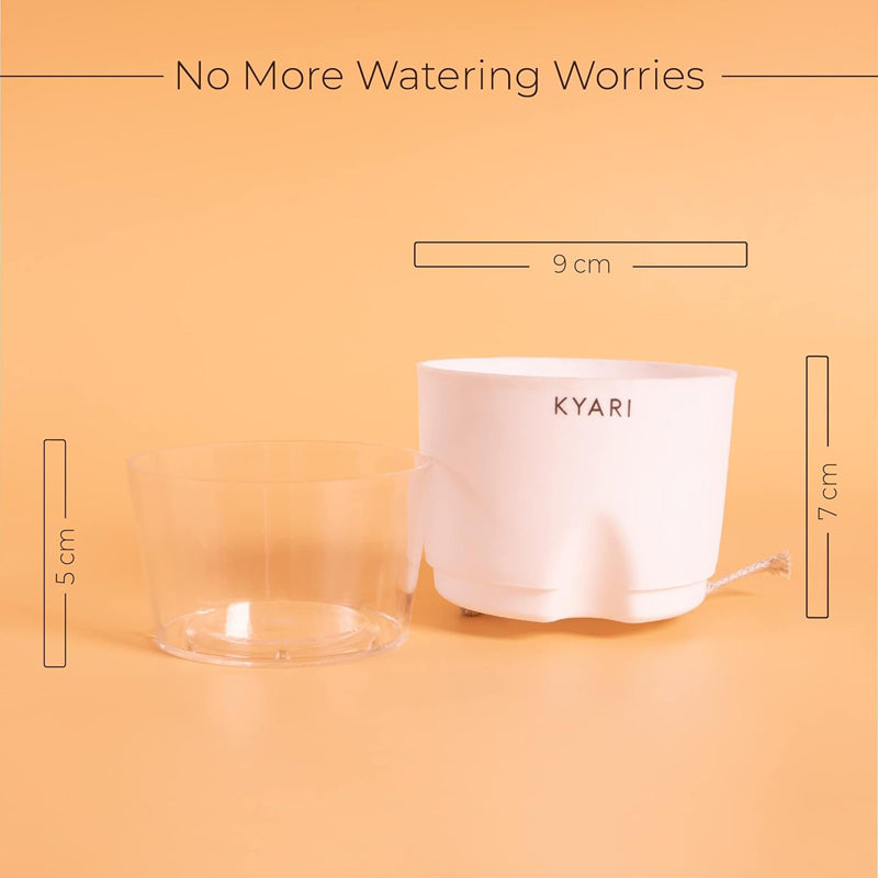 Kyari Viridian Plastic Self-Watering Pot (Multicolor) - Set Of Six media 6