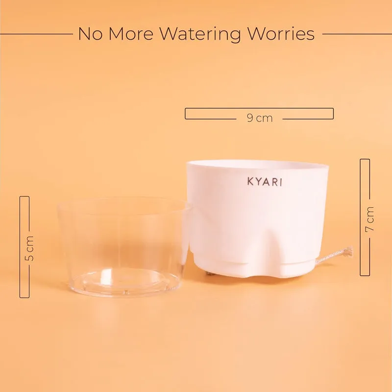 Kyari Viridian Plastic Self-Watering Pot (Multicolor) - Set Of Six media 6