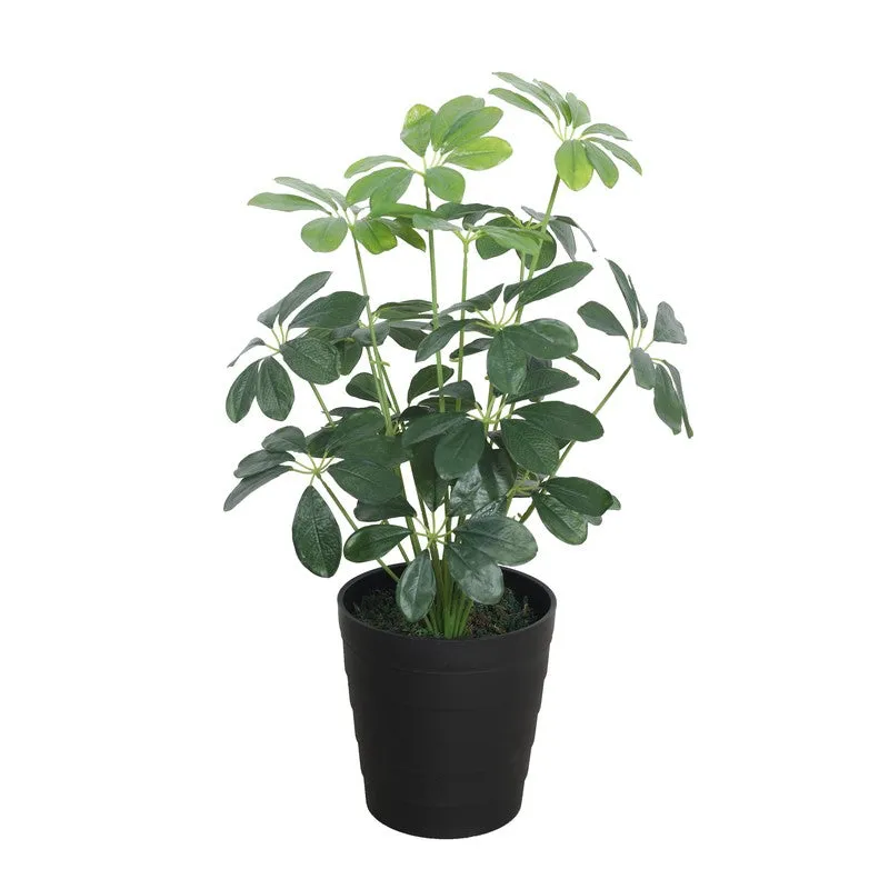 TropiLeaf Schefflera Artificial Plant Without Pot - 2.3 Feet media 3