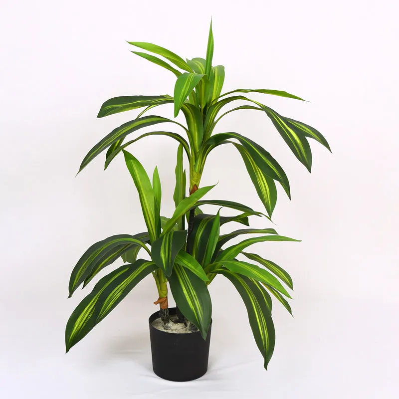 Lushly Artificial Draceana With Black Plastic Pot - 3 Feet media 4