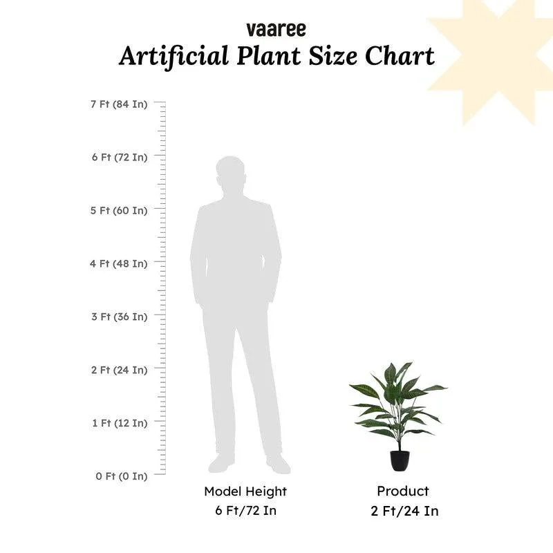 Artificial Croton Plant With Pot - 2 ft media 7