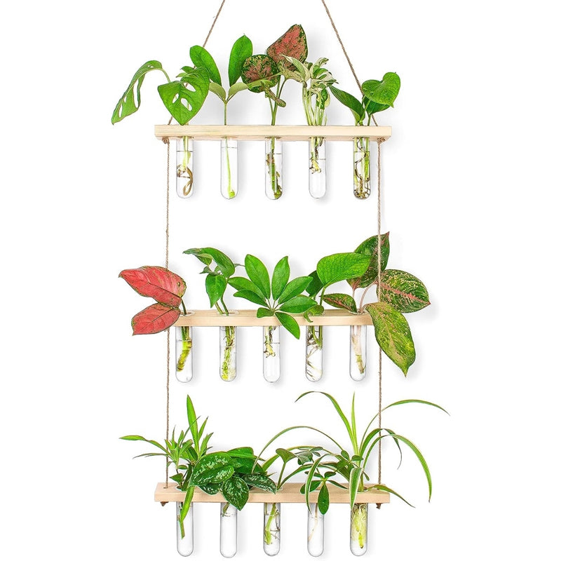 Arana Hanging Test Tube Planter media 3