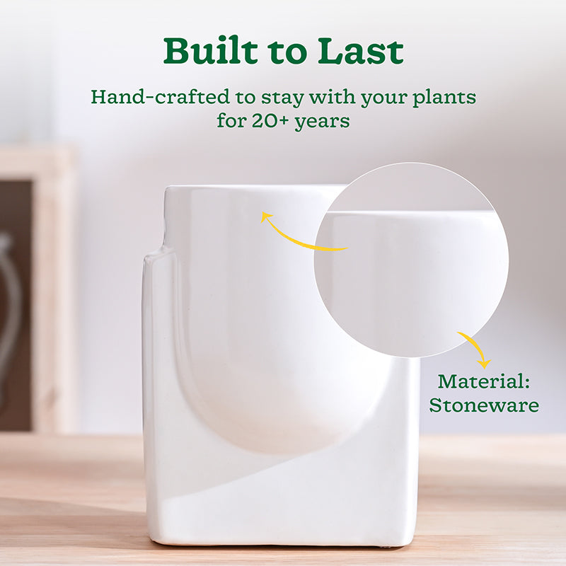 Ugaoo Minimalica Ceramic Planter - White media 3