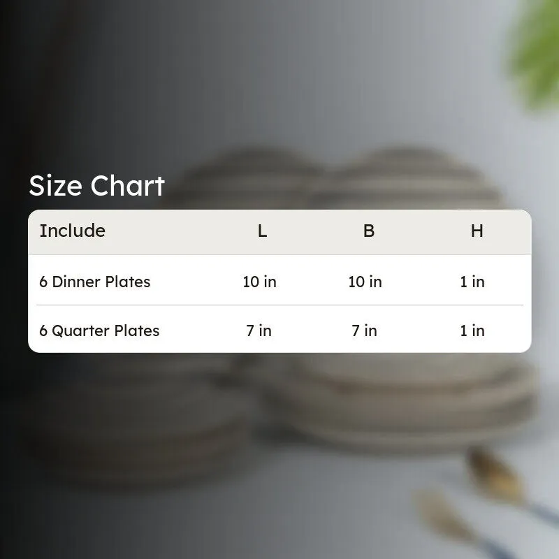 Elarion Dinner Plate (Grey,White) - Set of Twelve media 6