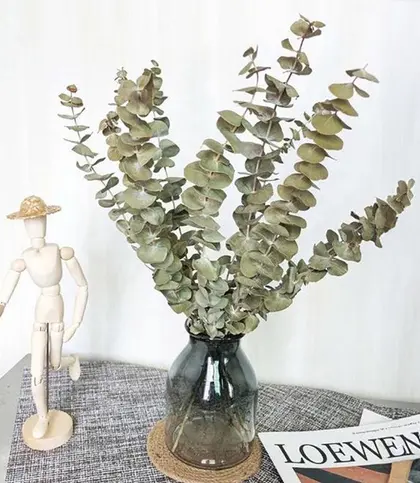 Dried Flowers & Leaves