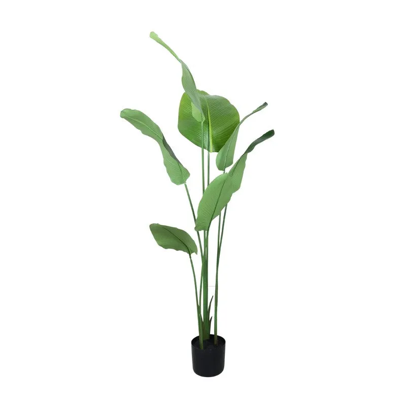 Paradise Artificial Plant With Black Fiber Pot - 5.2 Feet media 4