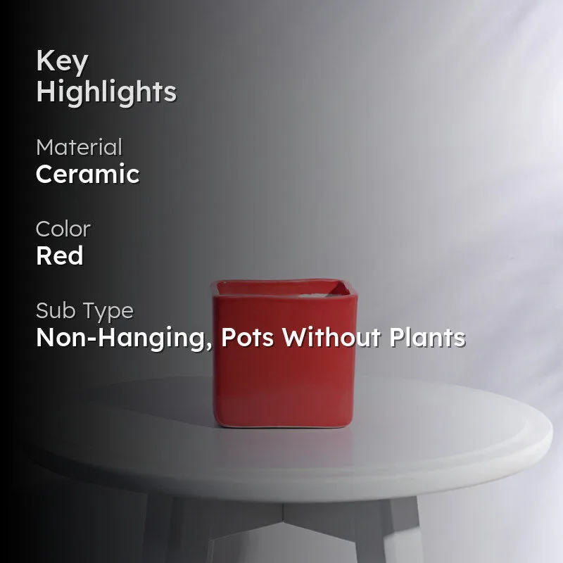 Ugaoo Square Red Ceramic Pot media 2