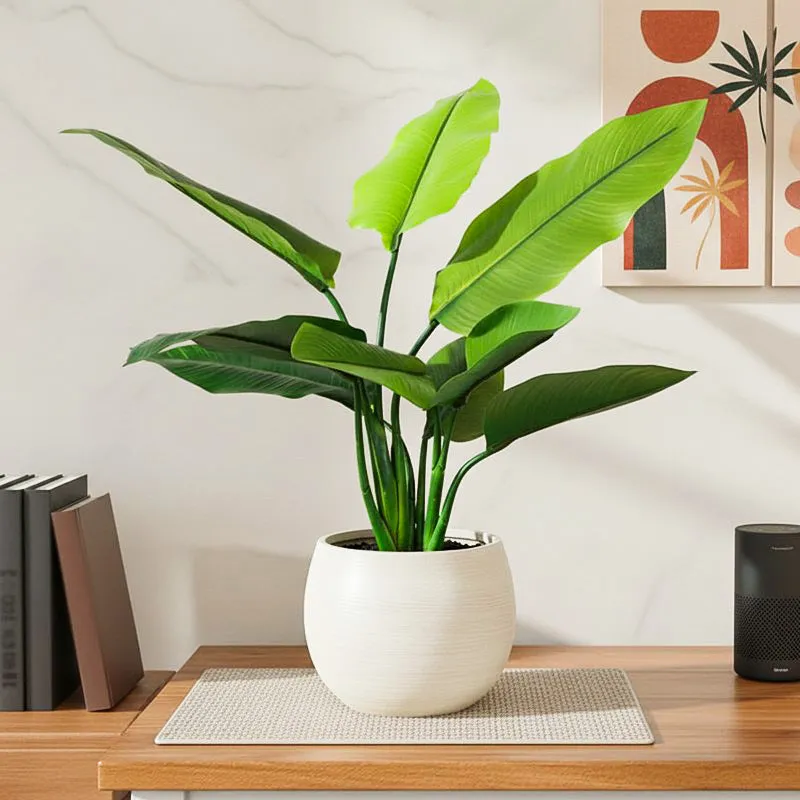 Artificial Banana Plant With Black Plastic Pot - 1 Feet media 1